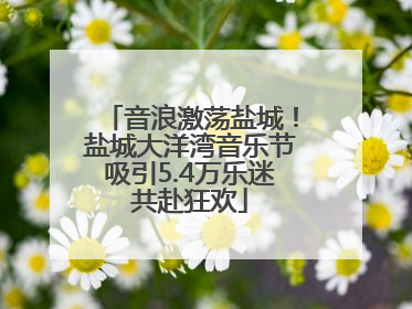 音浪激荡盐城！盐城大洋湾音乐节吸引5.4万乐迷共赴狂欢