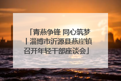青燕争锋 同心筑梦丨淄博市沂源县燕崖镇召开年轻干部座谈会