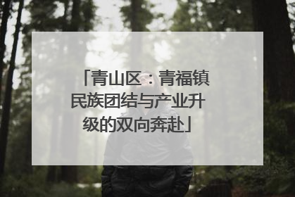 青山区：青福镇民族团结与产业升级的双向奔赴