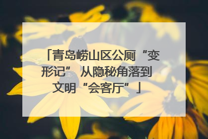 青岛崂山区公厕“变形记” 从隐秘角落到文明“会客厅”