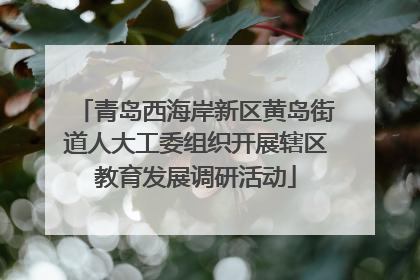 青岛西海岸新区黄岛街道人大工委组织开展辖区教育发展调研活动