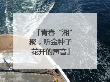 青春“湘”聚，听金种子花开的声音