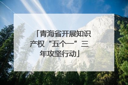 青海省开展知识产权“五个一”三年攻坚行动