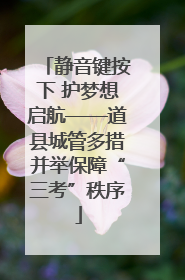 静音键按下 护梦想启航——道县城管多措并举保障“三考”秩序