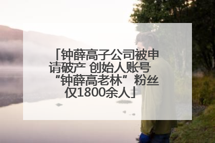 钟薛高子公司被申请破产 创始人账号“钟薛高老林”粉丝仅1800余人