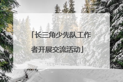 长三角少先队工作者开展交流活动