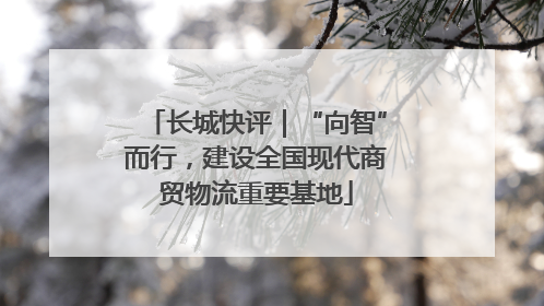 长城快评｜“向智”而行，建设全国现代商贸物流重要基地