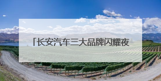 长安汽车三大品牌闪耀夜空，11787架无人机献礼重庆直辖28周年