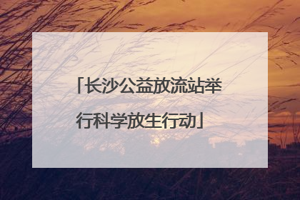 长沙公益放流站举行科学放生行动