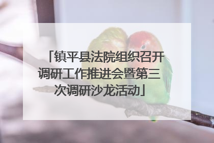 镇平县法院组织召开调研工作推进会暨第三次调研沙龙活动