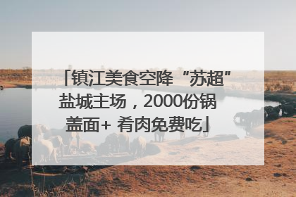 镇江美食空降“苏超”盐城主场，2000份锅盖面+ 肴肉免费吃