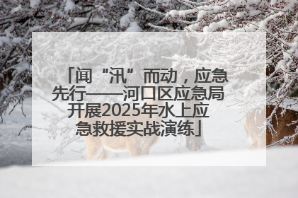 闻“汛”而动，应急先行——河口区应急局开展2025年水上应急救援实战演练