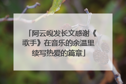 阿云嘎发长文感谢《歌手》在音乐的余温里续写热爱的篇章