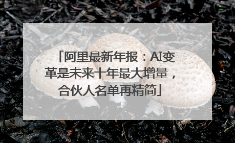 阿里最新年报：AI变革是未来十年最大增量，合伙人名单再精简
