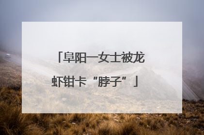 阜阳一女士被龙虾钳卡“脖子”