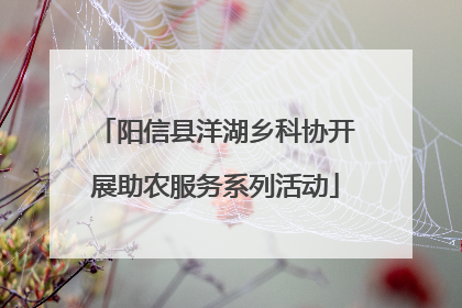 阳信县洋湖乡科协开展助农服务系列活动