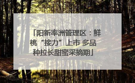 阳新率洲管理区：鲜桃“接力”上市 多品种拉长甜蜜采摘期