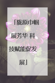 陇原巾帼展芳华 科技赋能促发展