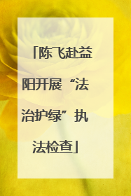 陈飞赴益阳开展“法治护绿”执法检查