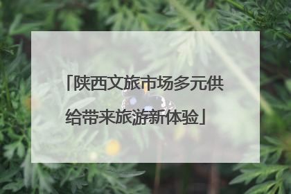 陕西文旅市场多元供给带来旅游新体验