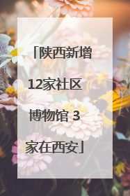 陕西新增12家社区博物馆 3家在西安