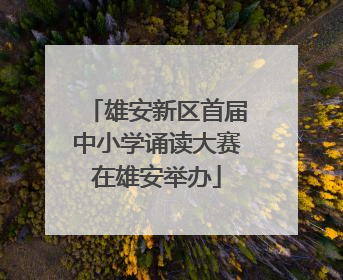 雄安新区首届中小学诵读大赛在雄安举办
