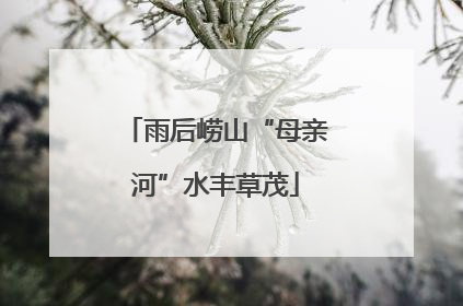 雨后崂山“母亲河”水丰草茂