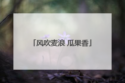 风吹麦浪 瓜果香