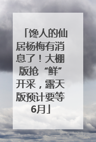 馋人的仙居杨梅有消息了！大棚版抢“鲜”开采，露天版预计要等6月