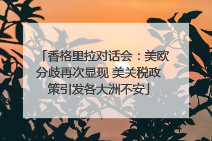 香格里拉对话会：美欧分歧再次显现 美关税政策引发各大洲不安