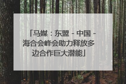 马媒：东盟－中国－海合会峰会助力释放多边合作巨大潜能