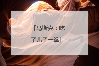 马斯克：吃了儿子一拳