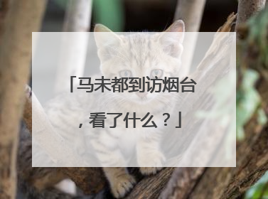 马未都到访烟台，看了什么？