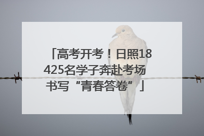 高考开考！日照18425名学子奔赴考场书写“青春答卷”