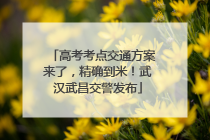 高考考点交通方案来了，精确到米！武汉武昌交警发布