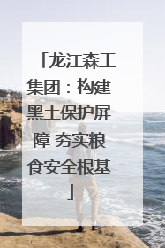 龙江森工集团：构建黑土保护屏障 夯实粮食安全根基