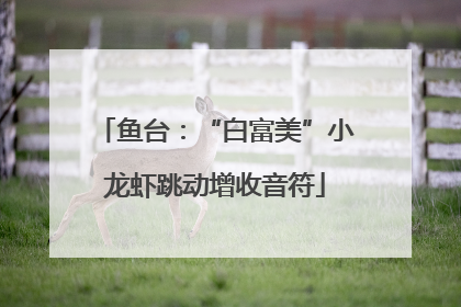 鱼台：“白富美”小龙虾跳动增收音符