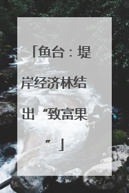 鱼台：堤岸经济林结出“致富果”