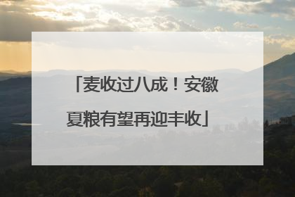 麦收过八成！安徽夏粮有望再迎丰收
