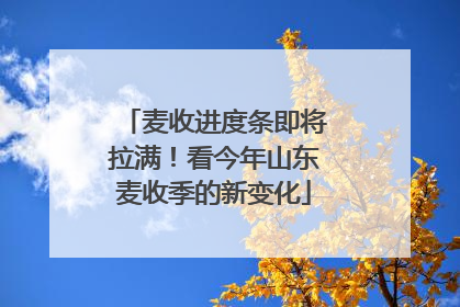 麦收进度条即将拉满！看今年山东麦收季的新变化
