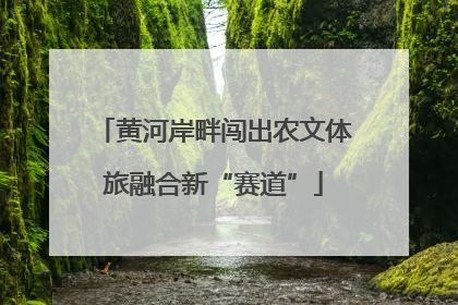 黄河岸畔闯出农文体旅融合新“赛道”