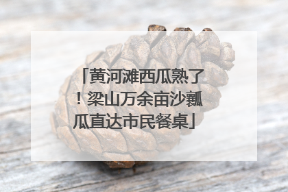 黄河滩西瓜熟了！梁山万余亩沙瓤瓜直达市民餐桌