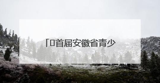 ﻿首届安徽省青少年足球联赛将于9月开赛 拟邀请赵鹏为先导赛开球