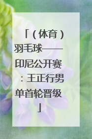 （体育）羽毛球——印尼公开赛：王正行男单首轮晋级