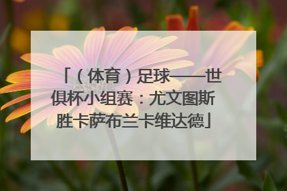 （体育）足球——世俱杯小组赛：尤文图斯胜卡萨布兰卡维达德