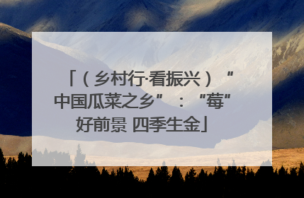 （乡村行·看振兴）“中国瓜菜之乡”：“莓”好前景 四季生金