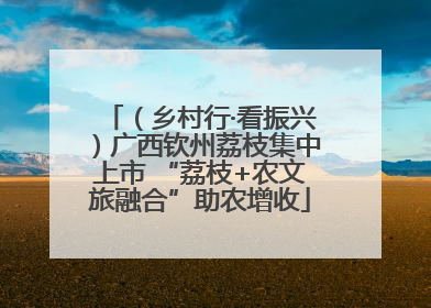 （乡村行·看振兴）广西钦州荔枝集中上市 “荔枝+农文旅融合”助农增收