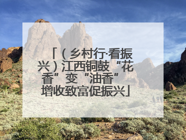 （乡村行·看振兴）江西铜鼓“花香”变“油香” 增收致富促振兴