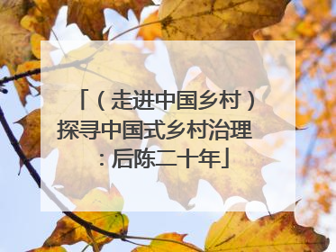 （走进中国乡村）探寻中国式乡村治理：后陈二十年