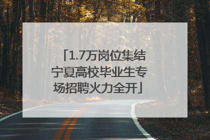 1.7万岗位集结 宁夏高校毕业生专场招聘火力全开